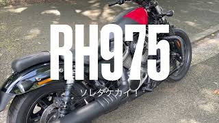 RH975　このエンジンフィーリング!