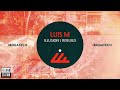 Luis M - Illusion