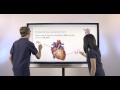 SMART Board 6065 interactive flat panel