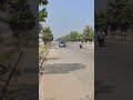 Drag Race Gone Wrong 🥲😱 | Tyre burst ho gaya 😭 #shorts #shortfeed #viral #baleno #ktmrc200 #viral