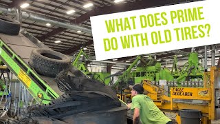 Behind the Scenes: EcoShred