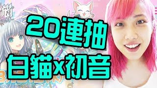 白貓Project x 初音20連抽|KisaBBB Gaming