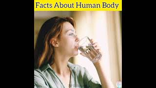 Amazing Facts About Human Body In Hindi 🤯| Interesting Facts | Top 3 Facts #shorts #shortvideo