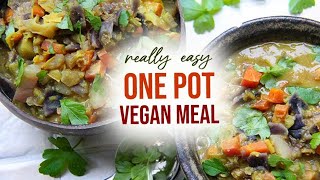 EASY vegan ONE POT meal