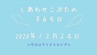 株式会社SCRIT「しあわせこぶたの３６５日」12月２４日~今日はクリスマスイブ~