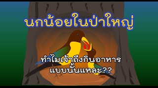 นิทานเรื่อง นกน้อยในป่าใหญ่ | My Fabel Channel