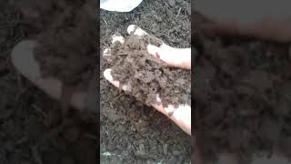 Composting of cow dung