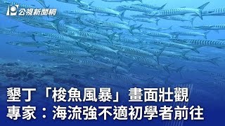 墾丁「梭魚風暴」畫面壯觀 專家：海流強不適初學者前往｜20240523 公視晚間新聞