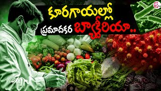 Bacterial \u0026 Parasitic Contaminants In Green Vegetables | Dangerous Bacteria in Vegetables | SumanTV