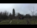 Vegetation Transect at Little Butte