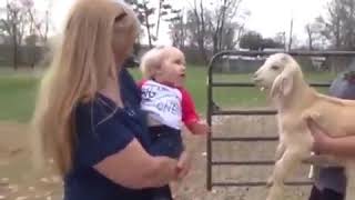 MadLipz Nederlands 2.0 - Schapen Na-Apen...