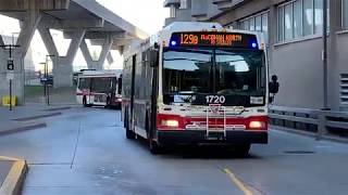 Retired TTC Busses