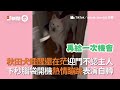 退休警犬玩「找錢遊戲」💰🐶認真嗅聞→成功尋獲｜寵物動物｜狗｜精選影片