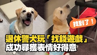 退休警犬玩「找錢遊戲」💰🐶認真嗅聞→成功尋獲｜寵物動物｜狗｜精選影片