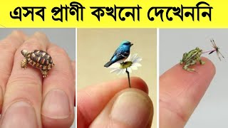 চ্যালেঞ্জ ! আপনি কখনো এসব প্রাণী দেখেননি| Top 10 Most Smallest animals in the world