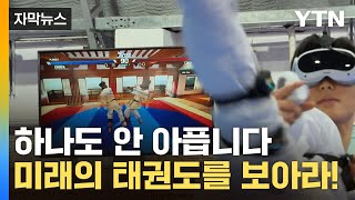 [자막뉴스] 허공을 향한 발차기…이것이 미래의 태권도 / YTN