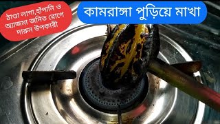 ঠান্ডা লাগা,হাঁপানি ও অ্যাজমা নিরাময়ে অব্যর্থ উপায় কামরাঙ্গা পুড়িয়ে মাখা/Kamranga makha/Carambola