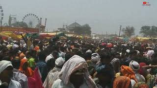 येडामाय यात्रा यरमाळा . Yedamai yatra