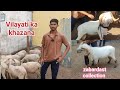 Premium Quality vilayati Sheeps Available