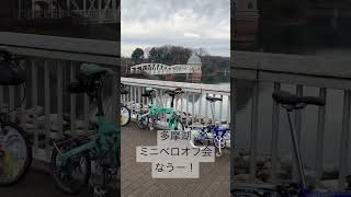 多摩湖ミニベロオフ会なう　#brompton #ブロンプトン ＃ボードウォーク #バーディー #キャリーミー #ダホン #DAHON #boardwalk #birdy #carryme