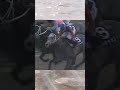 ショート 競馬 自分が1番好きなレース！再投稿！ オグリキャップ 武豊！引退レース！最高！！