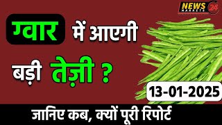 13 January 2025 ग्वार का ताजा भाव || ग्वार में आएगी बड़ी तेजी ? || Gwar Report || NewsMarkets24