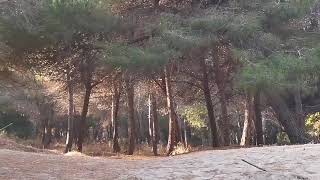 Bovo Marina spiaggia di Montallegro