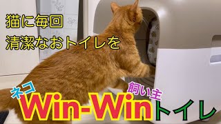 お猫様にいつ何時でも綺麗なおトイレを！！【全自動猫トイレ】