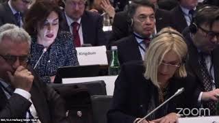 Speech at the OSCE PA General Committee on Political Affairs and Security - Maka Botchorishvili