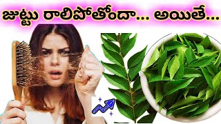 జుట్టు రాలకుండా ఉండాలంటే ఏం చేయాలి || Hair Mask for Hair Fall Solution || జుట్టు రాలకుండా చిట్కాలు