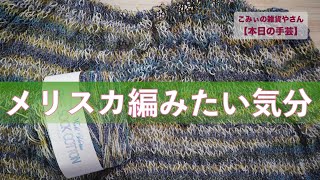 メリスカ編みたい気分【本日の手芸】today's handicraft