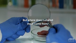 Where Does Cultured Meat Come From? | Esco Aster
