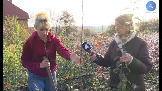 Як доглядати за садом восени: поради Любові Бойко. Сільський календар (02.11.2022)