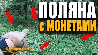 ПОЛЯНА С МОНЕТАМИ. Откуда тут столько находок? Находки царских времен в глуши. Кладомания