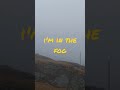 i m in the fog travel like photography 2023 top follow nature love reels sea