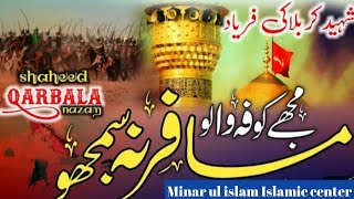 Mujhy Kufa Wlao Musafir Na Samjho | Hafiz Aqeel ur Rehman | مجھے کوفہ والو مسافر نہ سمجھو  VIP Nzam