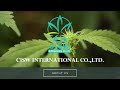 CISW International co.,ltd.