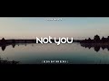 DJ SLOW !! Regin Rhythm - Not You ( Slow Remix )