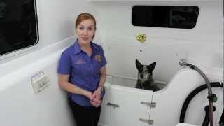 Savel Mobile Pet Salon - mobile dog grooming trailer