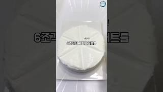 그릭요거트 유튜버 된 후 내 몸무게 근황