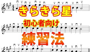 【初心者向け】バイオリンきらきら星の練習方法について話します