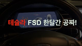 테슬라 엄청난 규모의 리튬 정제소 어떻게 하나? FSD V12 인공지능의 확장! 기대를 안할 수가 없잖아