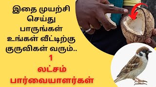 இதை முயற்சி செய்து பாருங்கள் உங்கள் வீட்டிற்கு குருவிகள் வரும்...