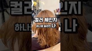 ‘컬러’ 하나로 사람이 달라진다면?  #hair #haircut #haircolor #hairstyle #헤어 #염색 #pink #brown #여자머리 #colors #컬러