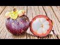 5 Incredible Health Benefits Of Mangosteen