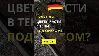 Дача в Германии. Часть 81.  Украшаем теневые участки сада и готовимся к высадке рассады