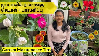 My Japan Balcony Gardening Part 2: Garden Maintenance Tips in Tamil | Balcony Plants\u0026Vegetable ideas