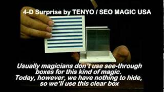 4-D Surprise by TENYO / SEO MAGIC USA