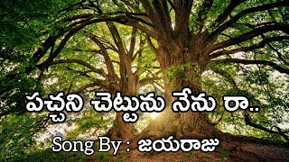 పచ్చాని చెట్టు నేనురా|pachani chettu nenu raa| song jayaraju lyrical video