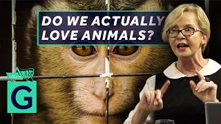 Cruelty to Animals